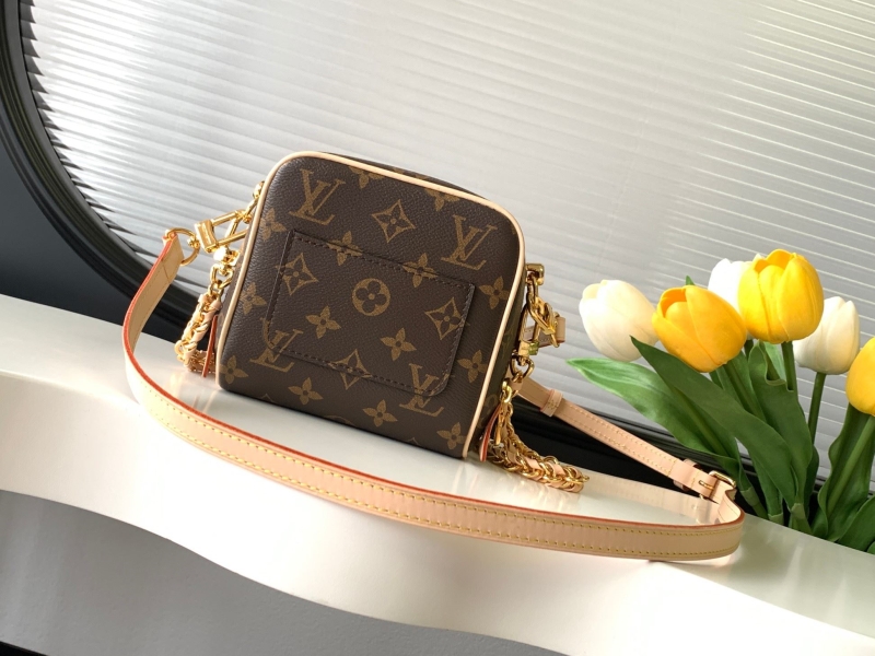 LV Satchel bags